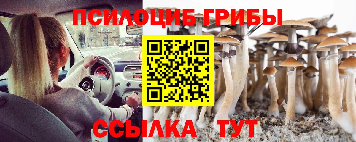Псилоцибиновые грибы ЛСД Тверь